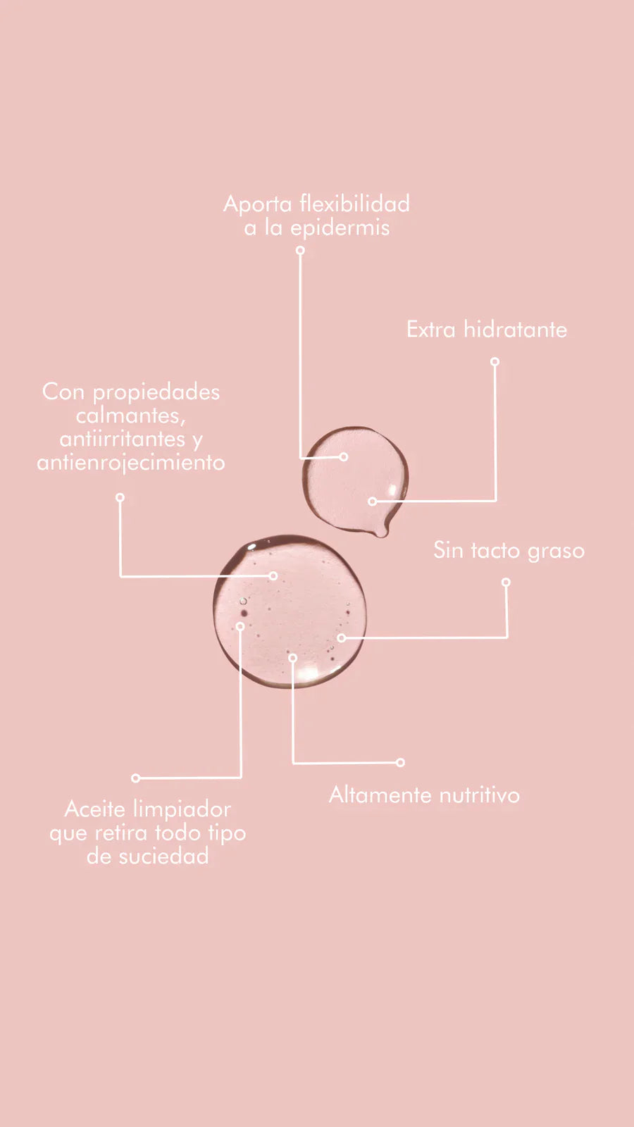 Doble Limpieza / Oil to Milk & Step One
